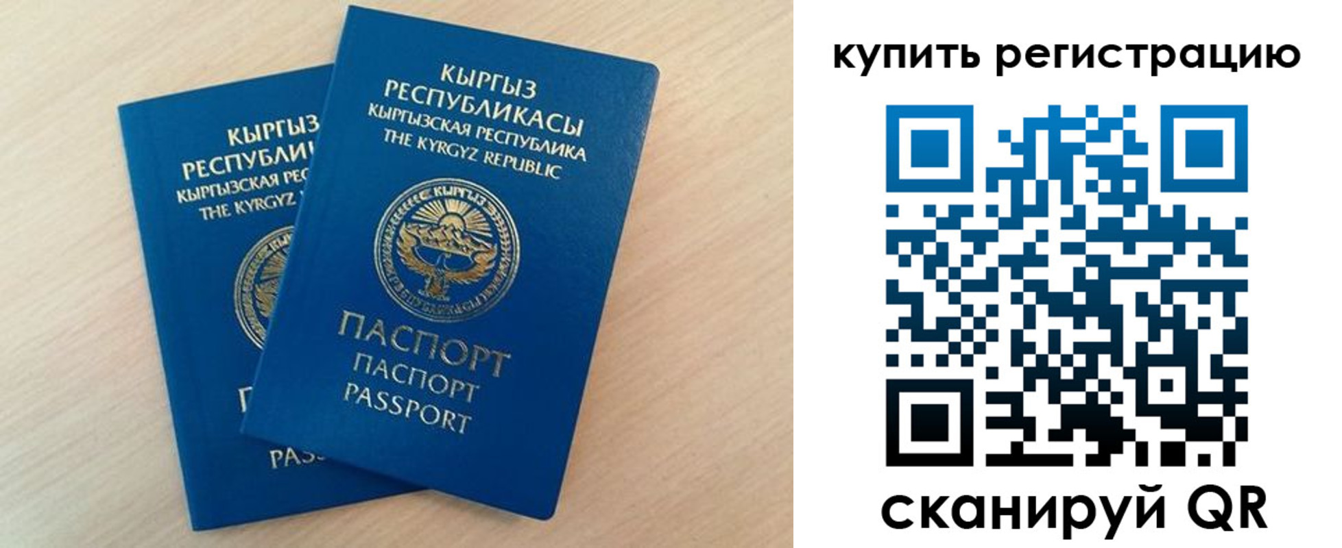 временная регистрация поиск в Псковской области